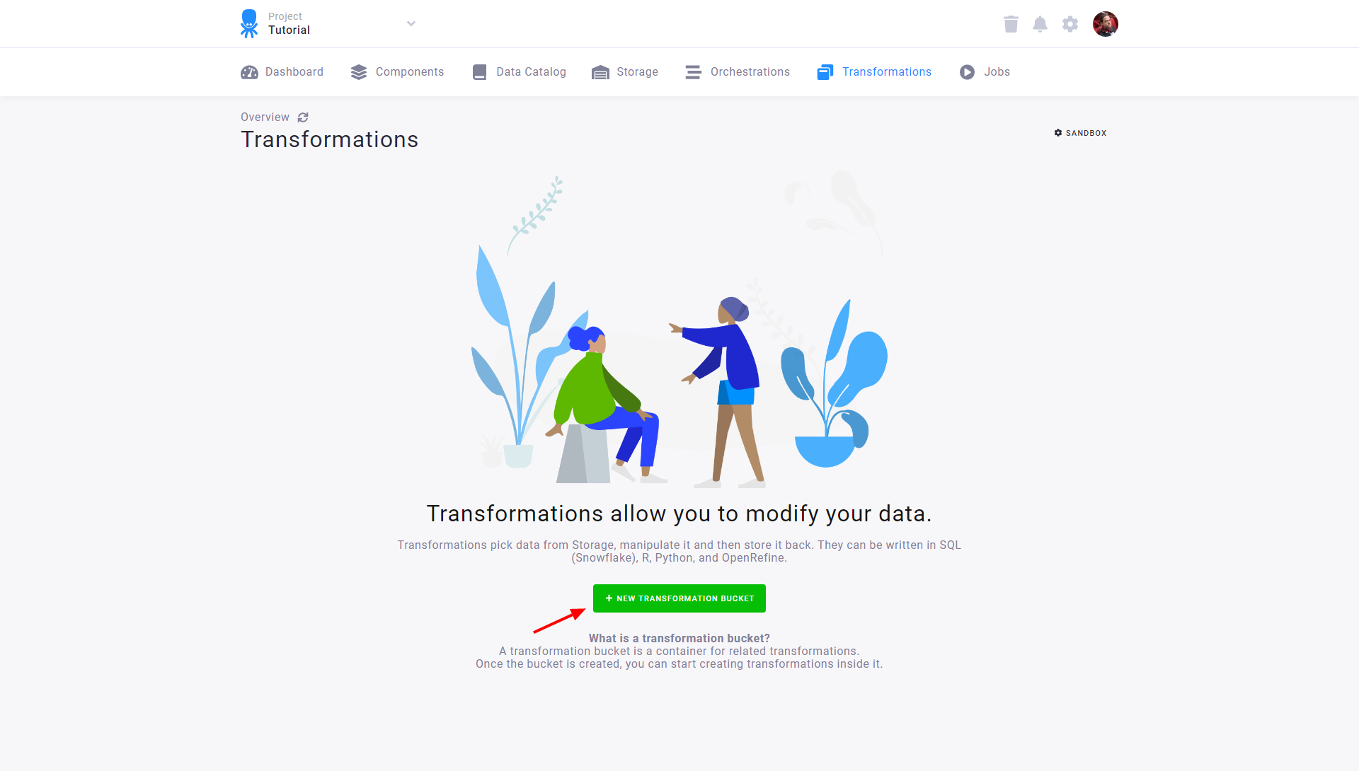 Screenshot - Transformations section